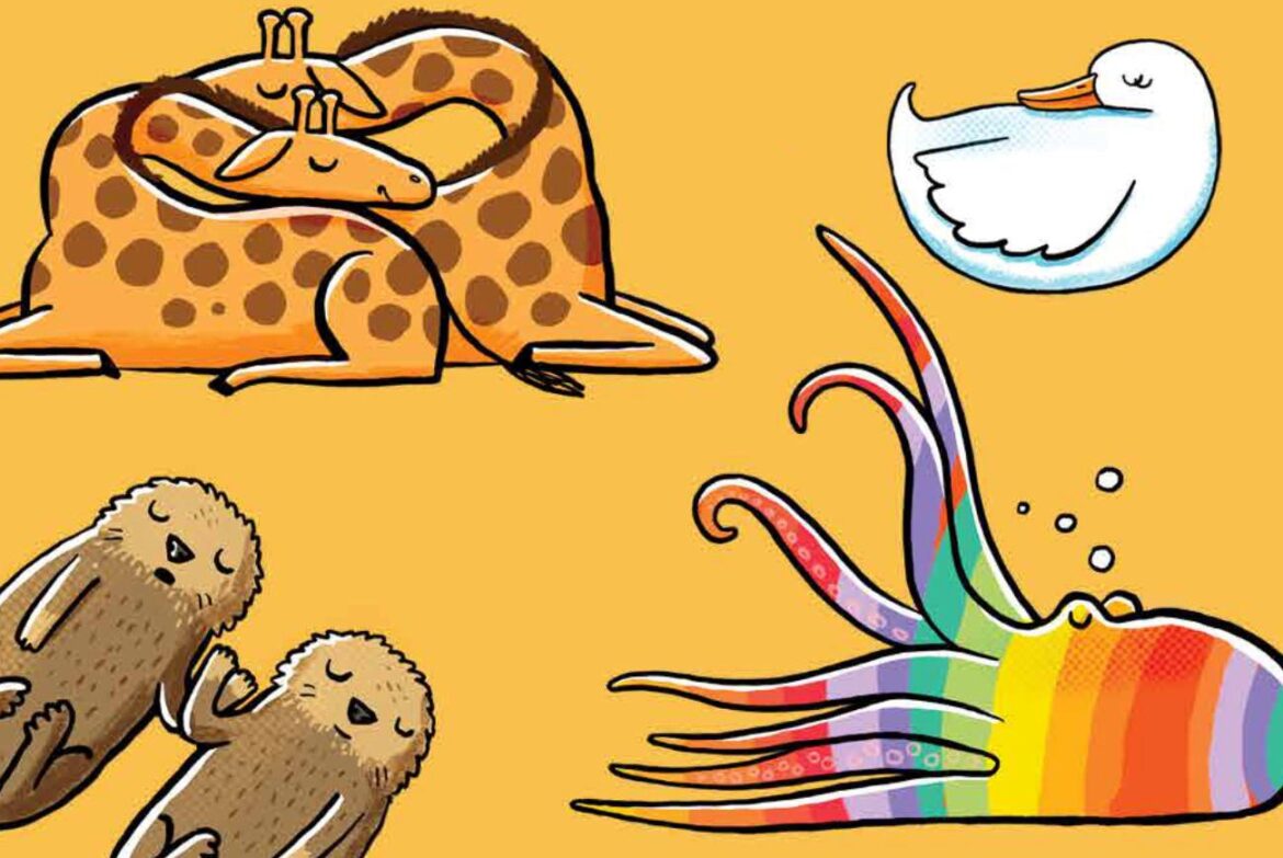 تو چطوری می‌خوابی؟ یه قصه جذاب درباره خوابیدن حیوونا